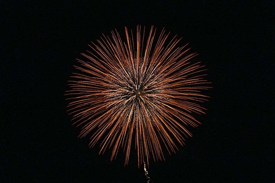 Fireworks(image)